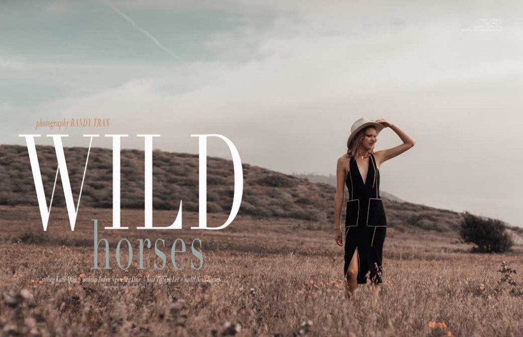 WILD-HORSES